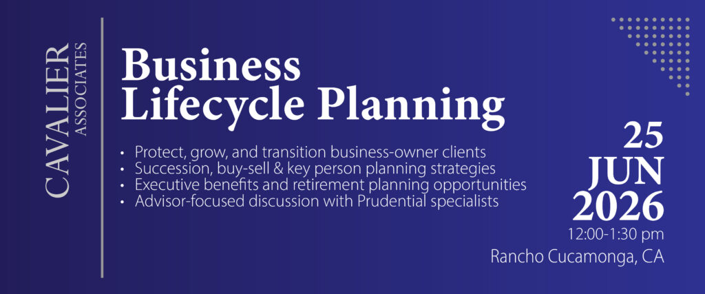 Business Lifecycle Planning