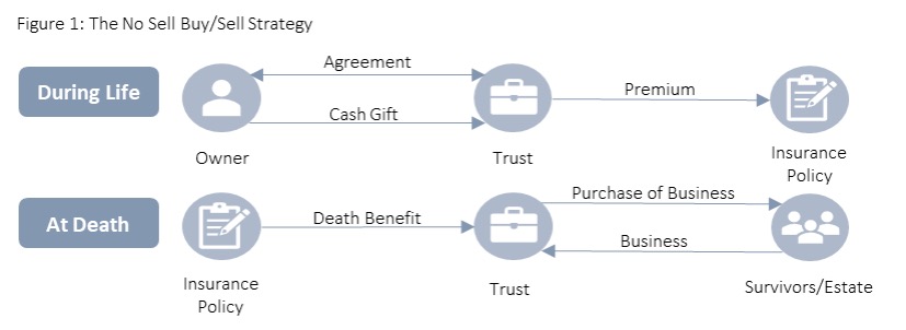 Figure 1, The No Sell Buy/Sell Strategy