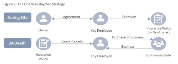 Single Owner Succession - Figure 2